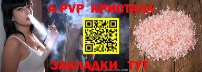 spice Кунгур