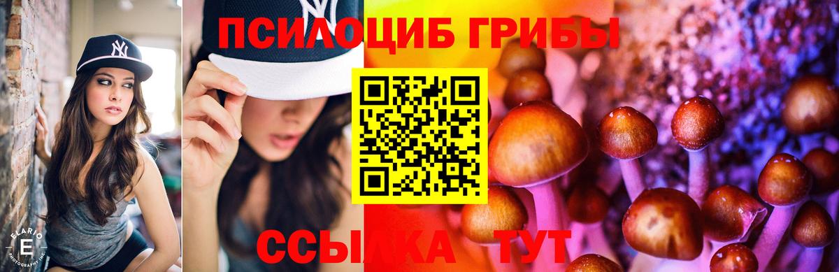 Чапаевск  Псилоцибиновые грибы Psilocybine cubensis  Вход с VPN 